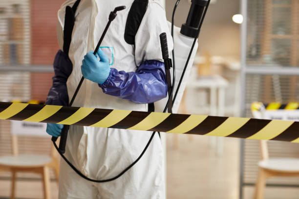 Professional Sewage Cleanup technician working in Monrovia, CA